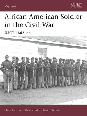 African American Soldier in the Civil War - ebook